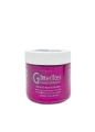 Angelus Glitterlites Paint